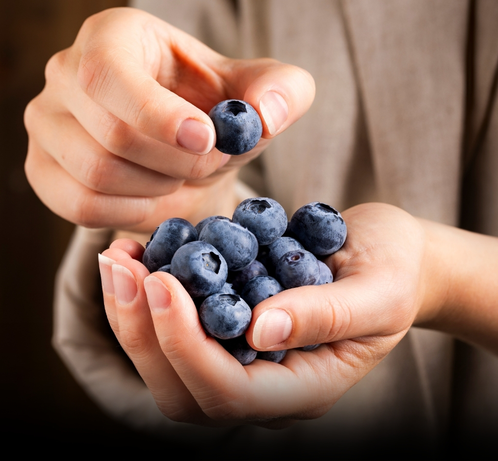 The best blueberries